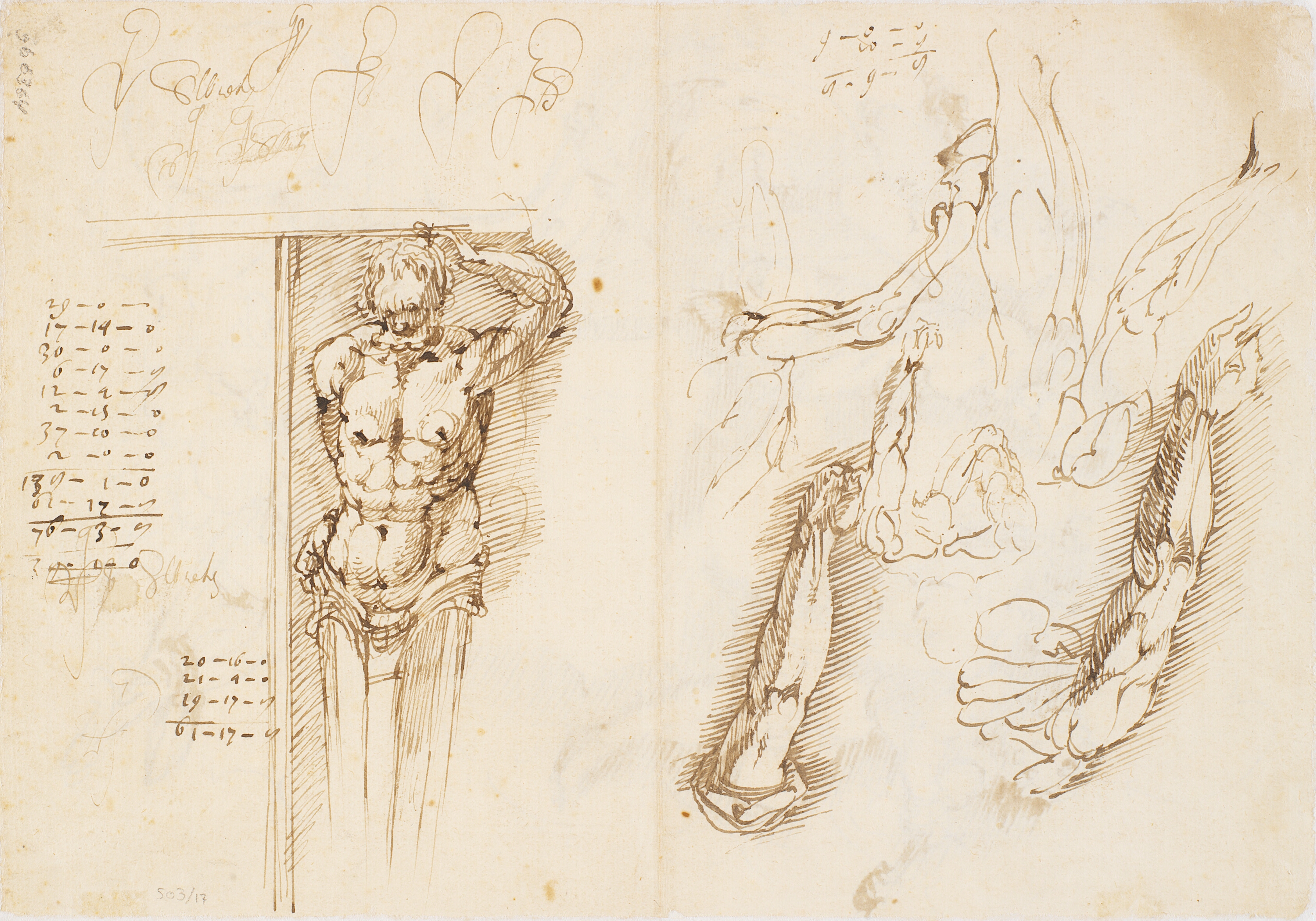 Mandlig herme, studier af mandlige arme og hesteben, regnskaber og skriftprøve